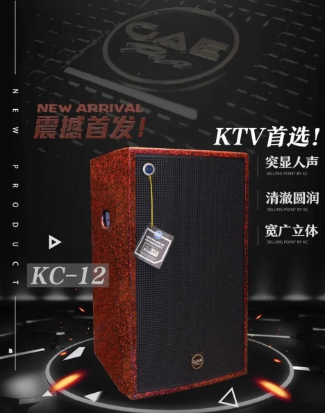 【成色抖音音响】室外广场舞台音响拾音妙招